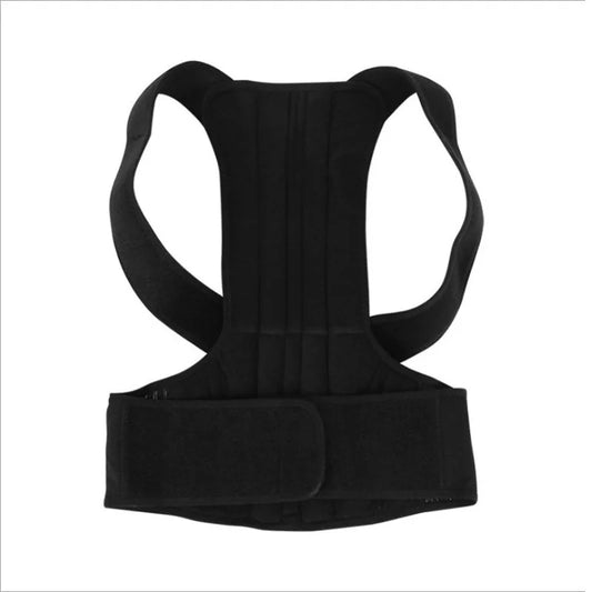 Back support belt